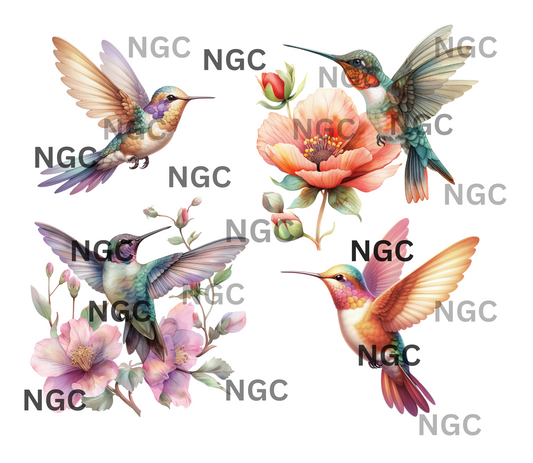 20oz wrap hummingbirds