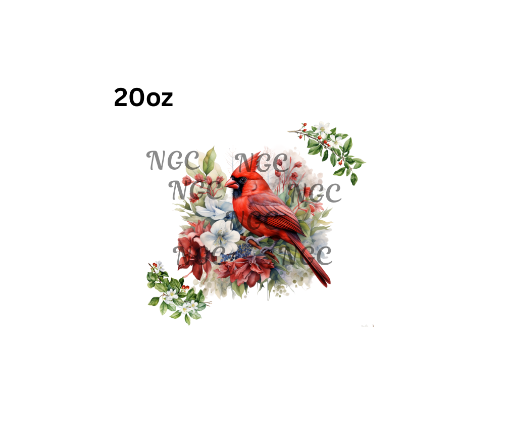 20oz cardinal
