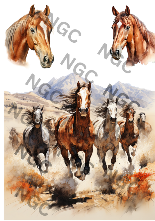 A5 Notebook horses1