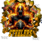 single decal steelers