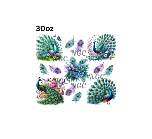 30oz peacock2