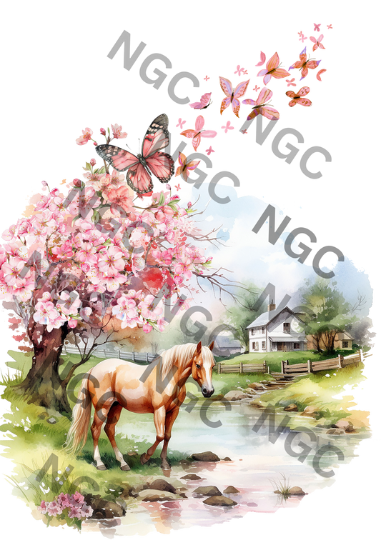 A5 Notebook horses2