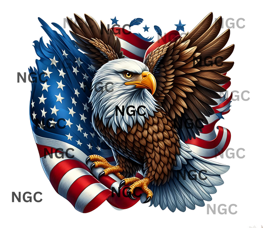 single decal eagle