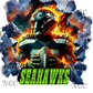 single decal seahawks