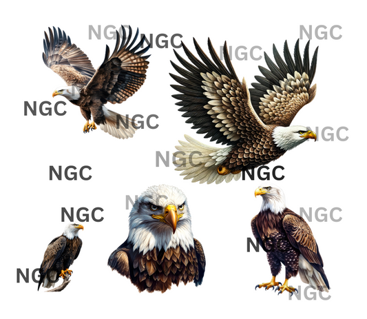 20oz wrap flight eagles