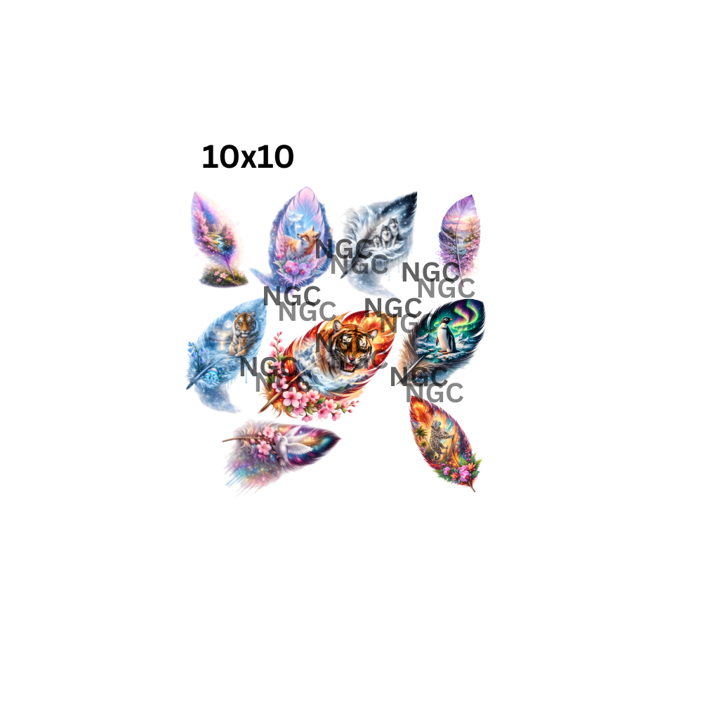 10x10 feathers with images