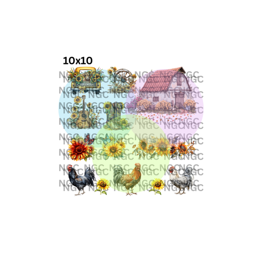 10x10 sunflower farm
