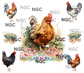 20oz wrap chickens
