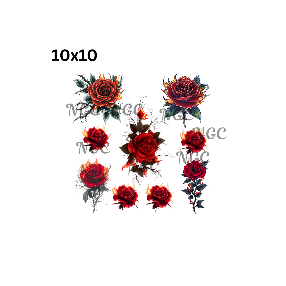 10x10 flame roses