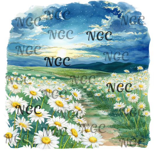 single decal daisy night