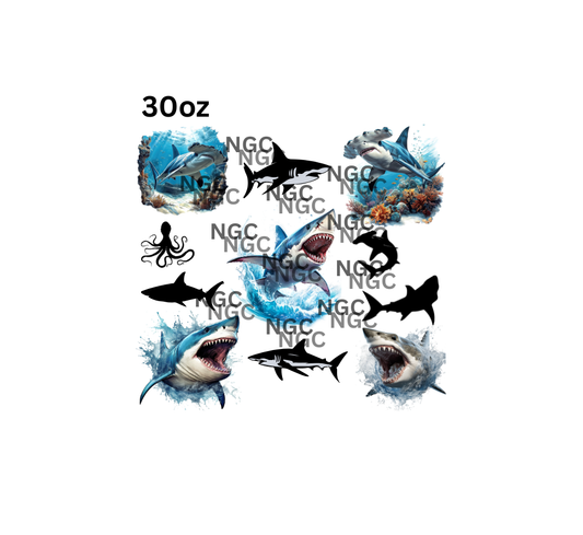 30oz sharks