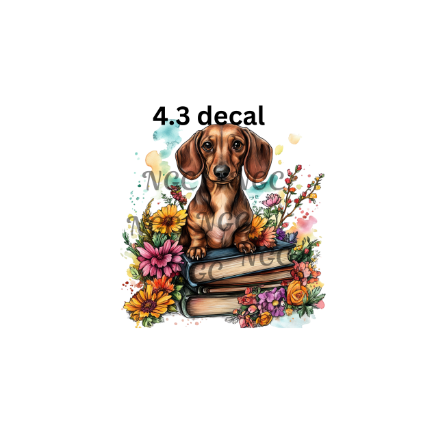 decal dachshund on books