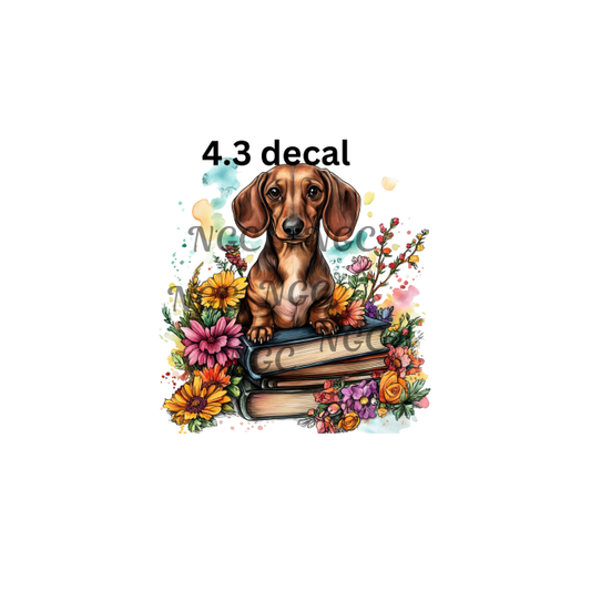 decal dachshund on books