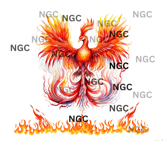 single decal Phoenix