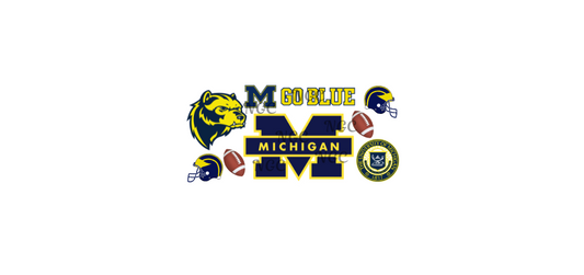 16oz michigan football