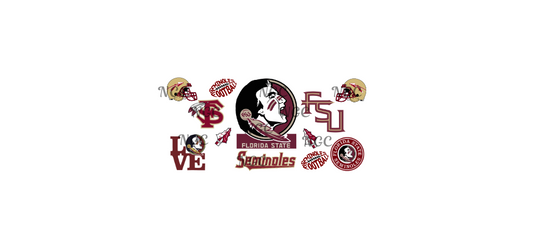 16oz florida seminoles2 football